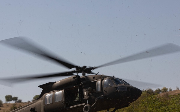 1-502nd Infantry Regiment conducts Air Assault and SBF LFX