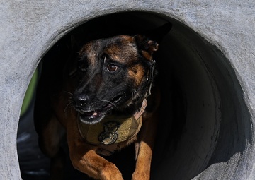 Happy Birthday MWD Ali &amp; Jony