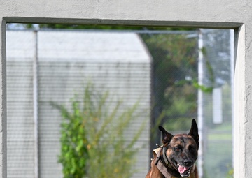 Happy Birthday MWD Ali &amp; Jony