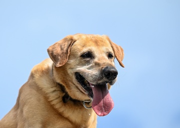 Happy Birthday MWD Ali &amp; Jony