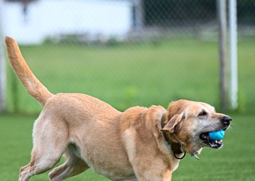 Happy Birthday MWD Ali &amp; Jony