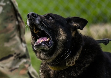 Happy Birthday MWD Ali &amp; Jony