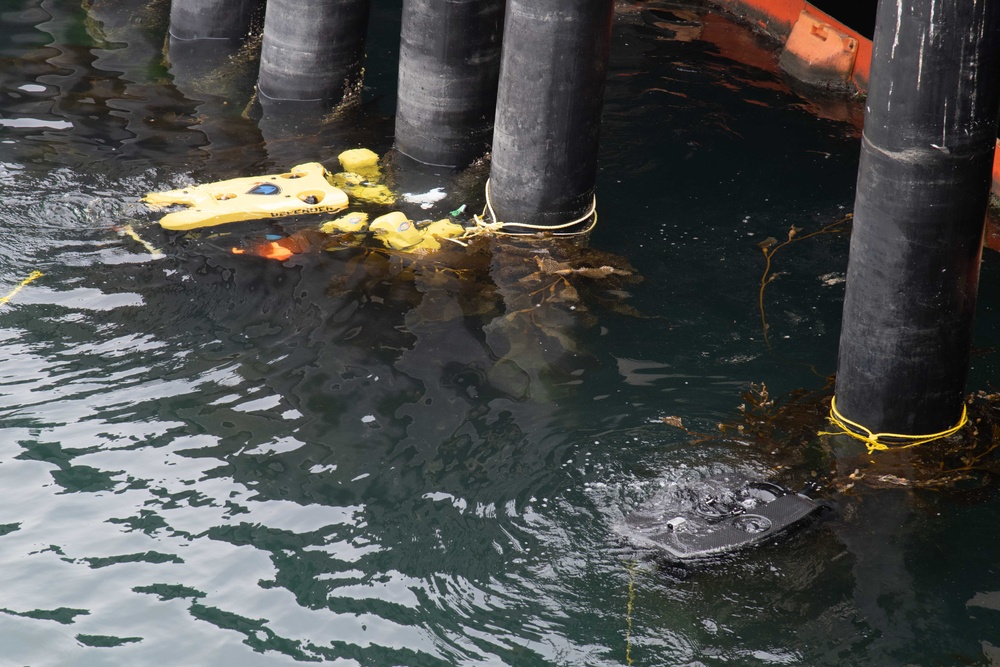 Removal of Debris Fouling Propeller and Rudder Demonstration