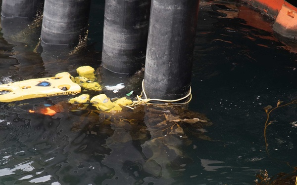 Removal of Debris Fouling Propeller and Rudder Demonstration