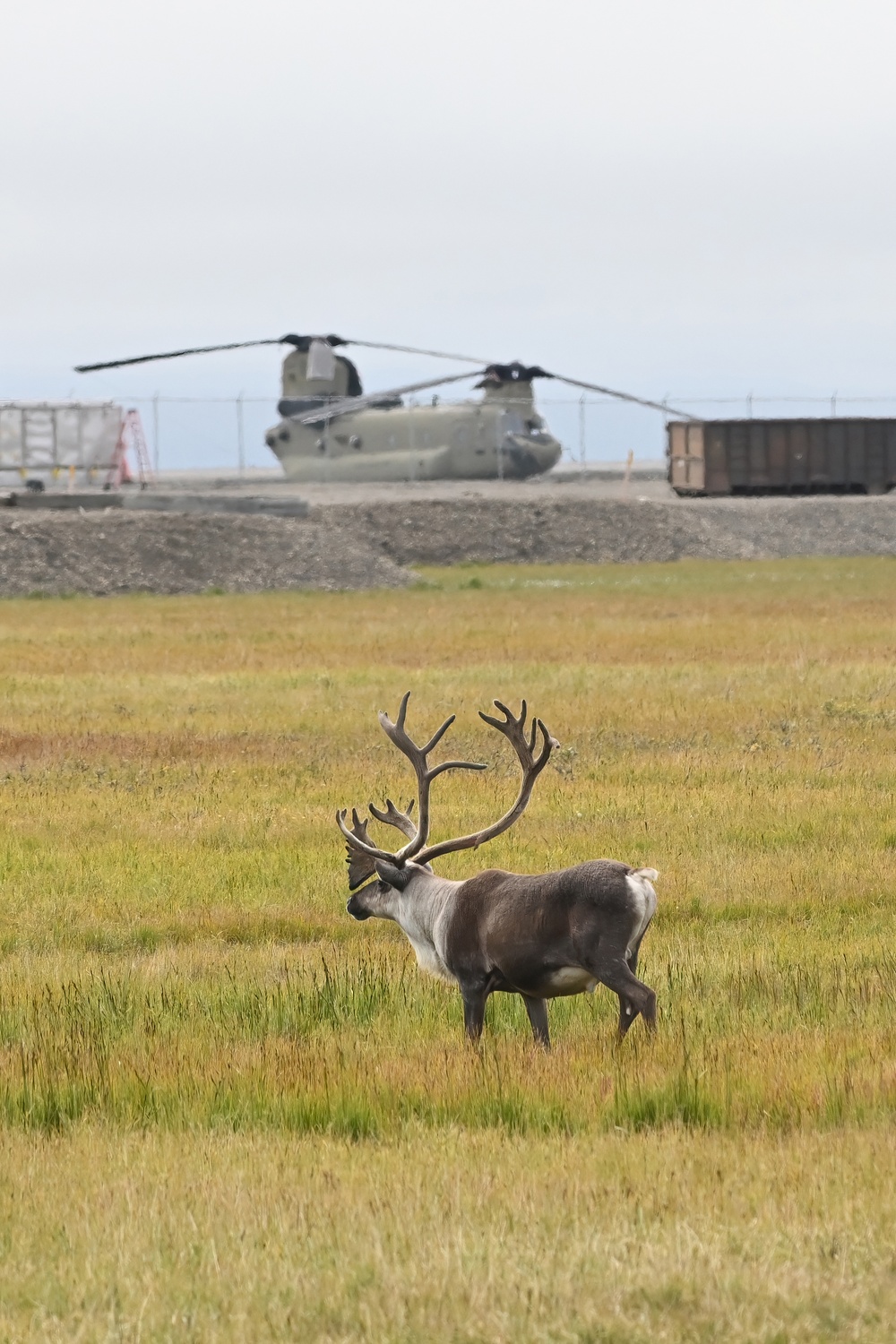 1-52nd General Support Aviation Battalion trains in Alaska's Arctic