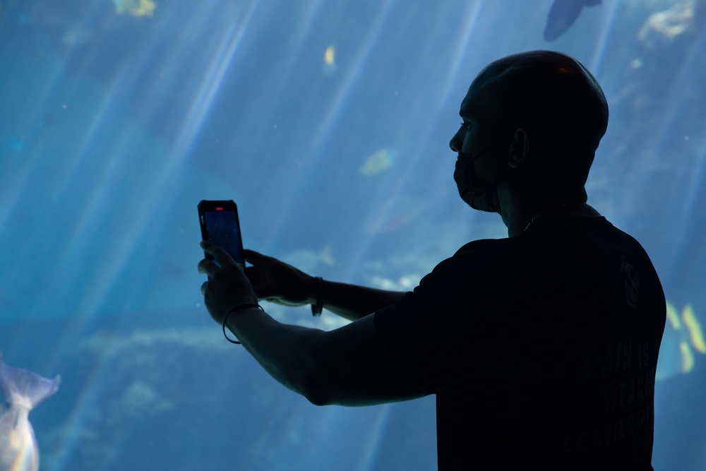 CLR-37 Food Service Company Marines visit Churaumi Aquarium