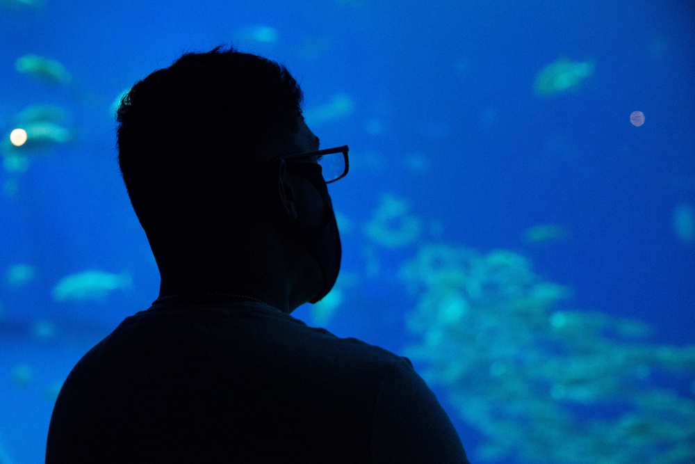 CLR-37 Food Service Company Marines visit Churaumi Aquarium