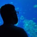 CLR-37 Food Service Company Marines visit Churaumi Aquarium
