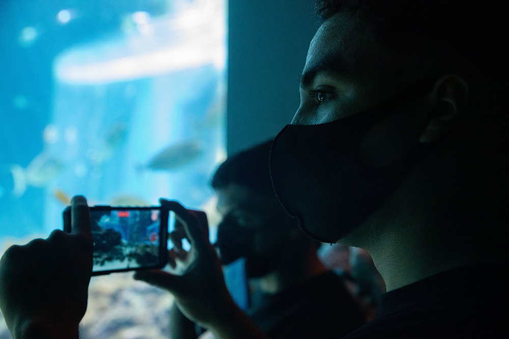 CLR-37 Food Service Company Marines visit Churaumi Aquarium