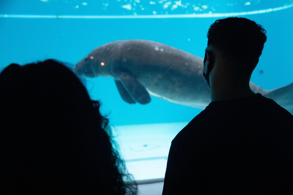 CLR-37 Food Service Company Marines visit Churaumi Aquarium