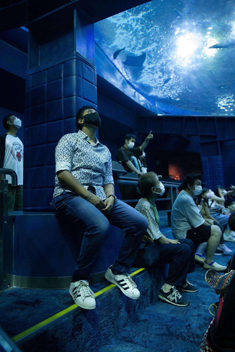 CLR-37 Food Service Company Marines visit Churaumi Aquarium