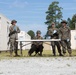 Combat Logistics Battalion 22 conducts Evacuation Control Center training during its Marine Corps Combat Readiness Evaluation (Day 8)