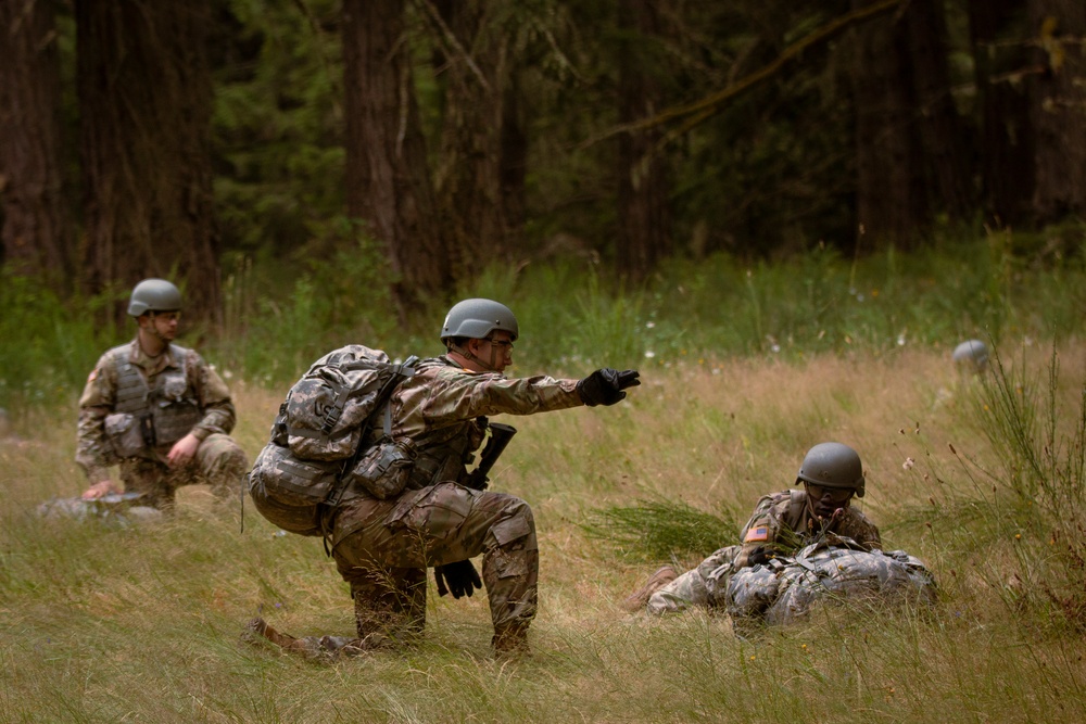 Coming soon to a STX lane near you: Army National Guard officer candidates conduct air infiltration during OCS Phase III