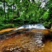 Trout Falls at Fort McCoy's Pine View Recreation Area