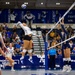 USAFA Volleyball vs TAMU