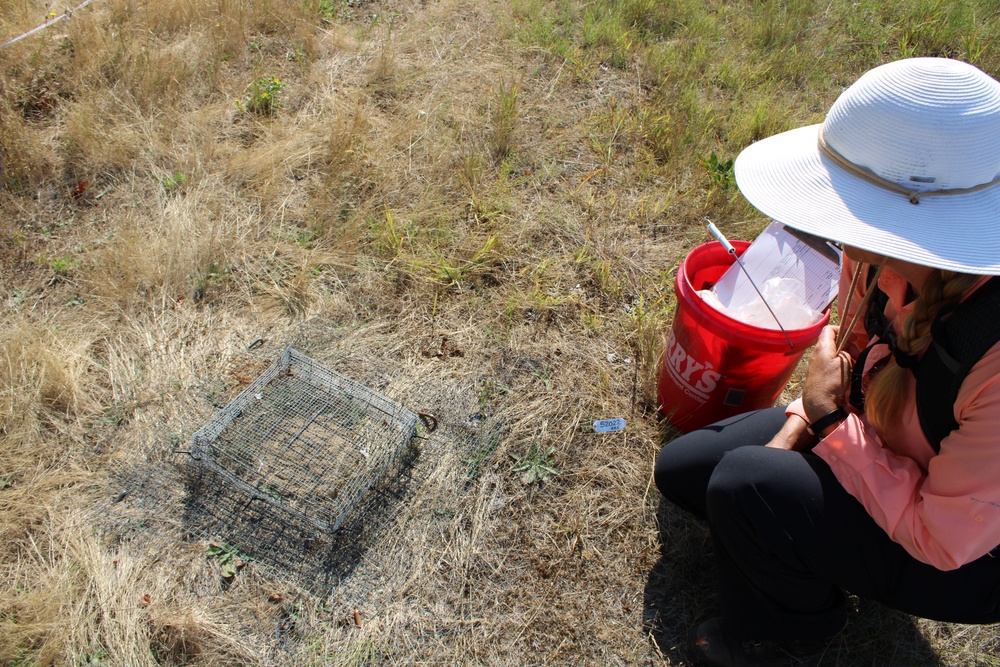 Wildlife biologists find, remove invasive species at Corps locations