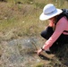 Wildlife biologists find, remove invasive species at Corps locations