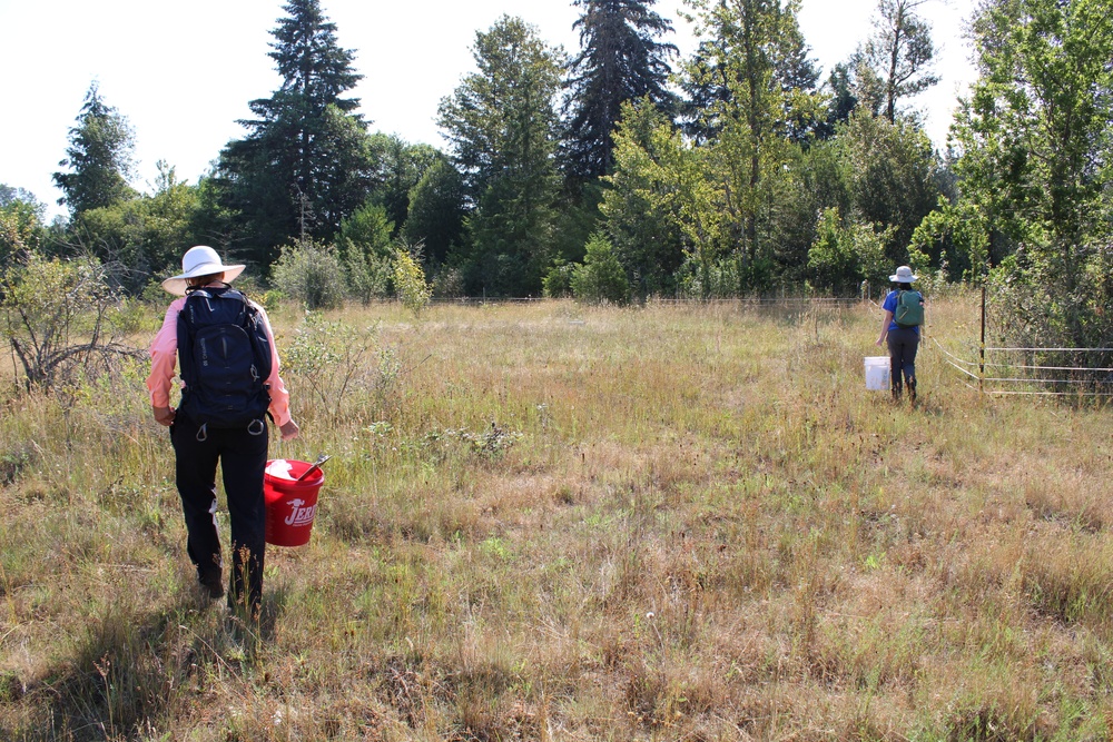 Wildlife biologists find, remove invasive species at Corps locations