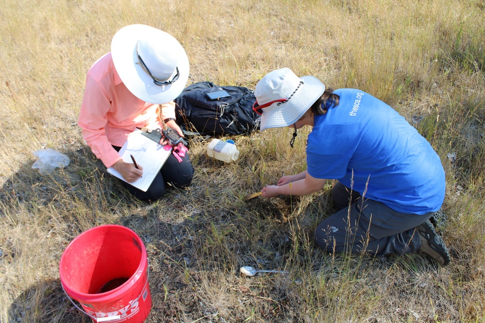 Wildlife biologists find, remove invasive species at Corps locations