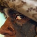 Eyes of BWT