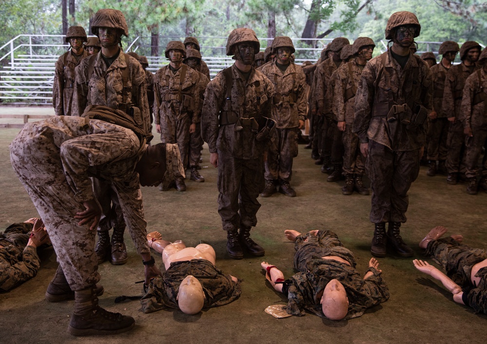 Alpha Company Basic Warrior Training