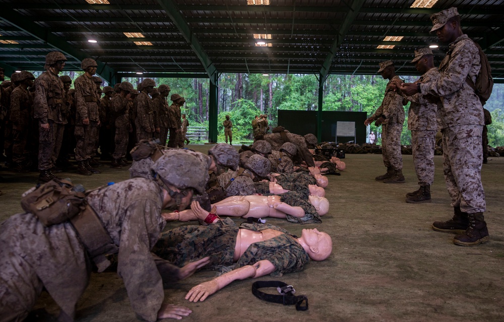 Alpha Company Basic Warrior Training