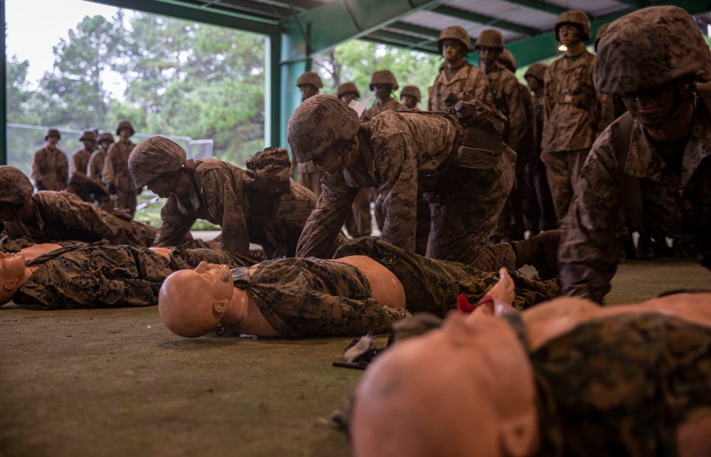 Alpha Company Basic Warrior Training