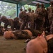 Alpha Company Basic Warrior Training
