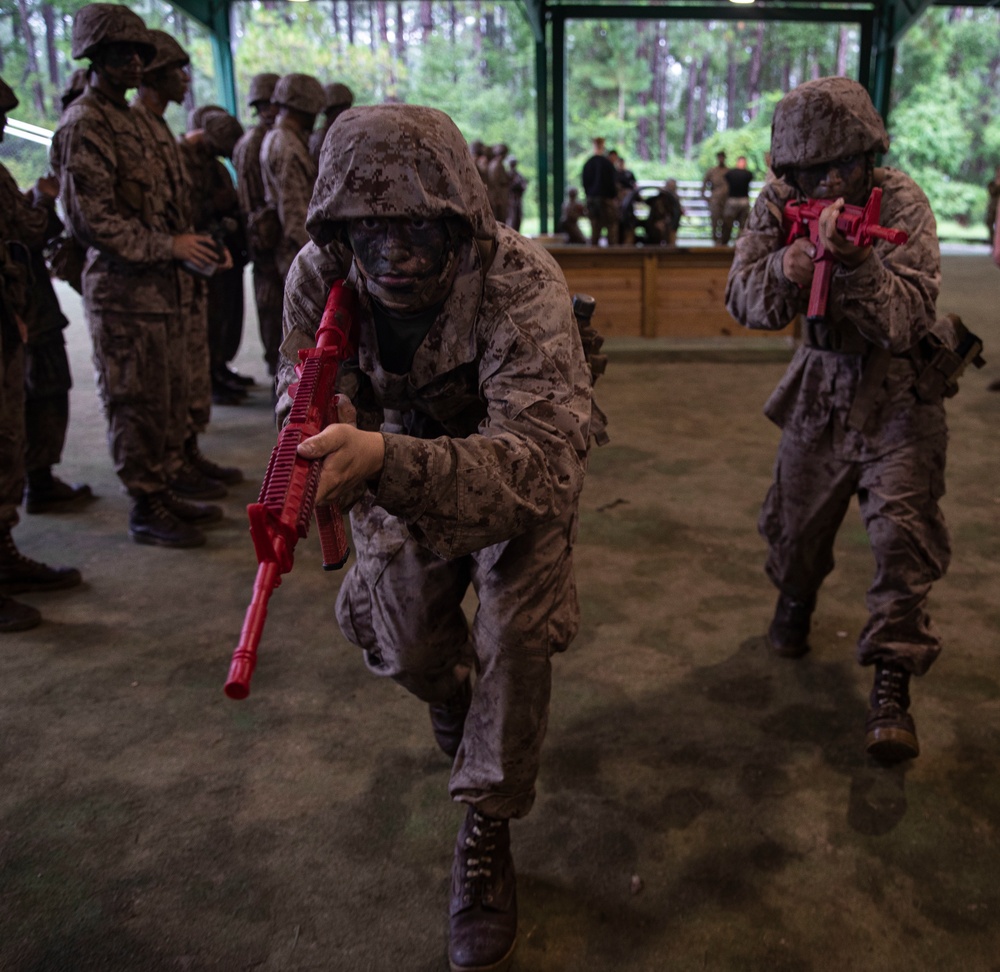 Alpha Company Basic Warrior Training