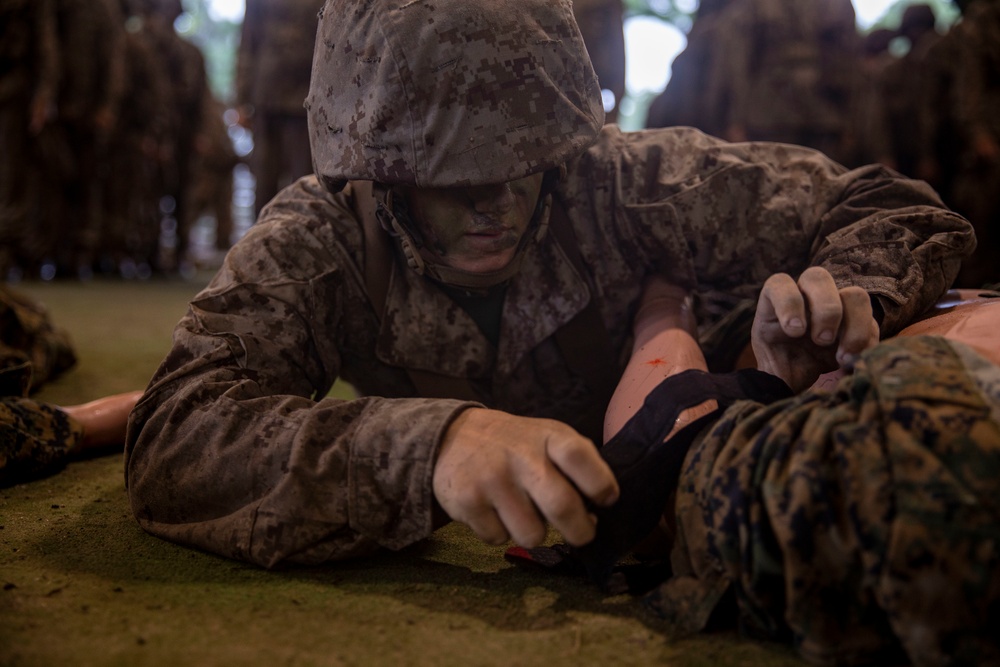Alpha Company Basic Warrior Training