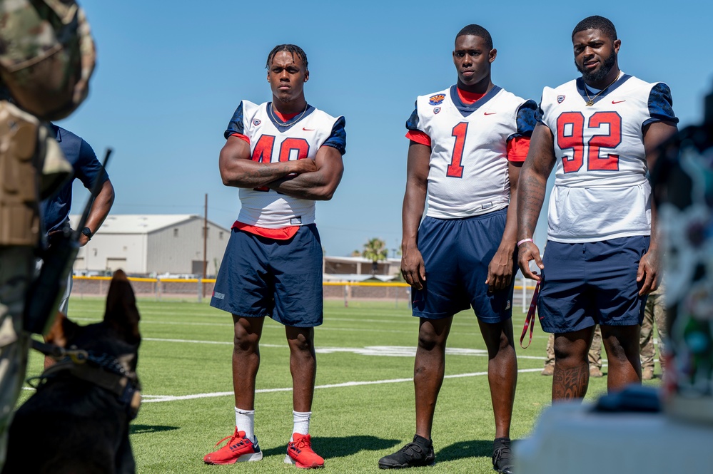 Bear Down: DM, UofA Community Partnership Day