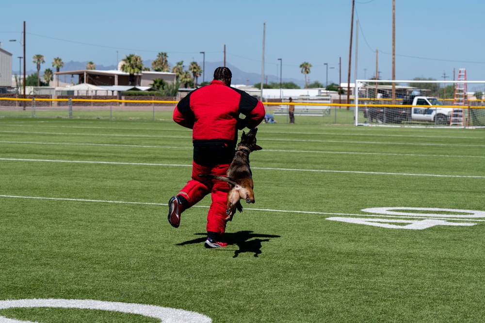 Bear Down: DM, UofA Community Partnership Day