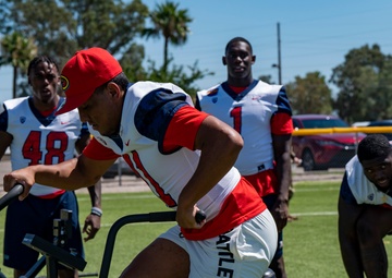 Bear Down: DM, UofA Community Partnership Day