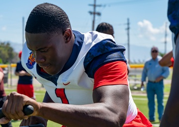 Bear Down: DM, UofA Community Partnership Day