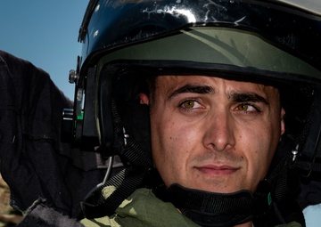 Bear Down: DM, UoA Community Partnership Day