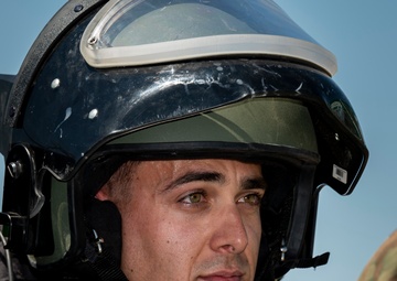 Bear Down: DM, UoA Community Partnership Day