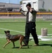 Practice Hard, Work Harder: DM, UofA Community Partnership Day