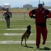 University of Arizona players compete against Airmen