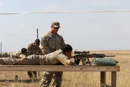 1-26th Weapons Density at Smardan Training Area