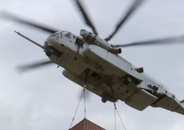 The King Stallion’s First Exercise