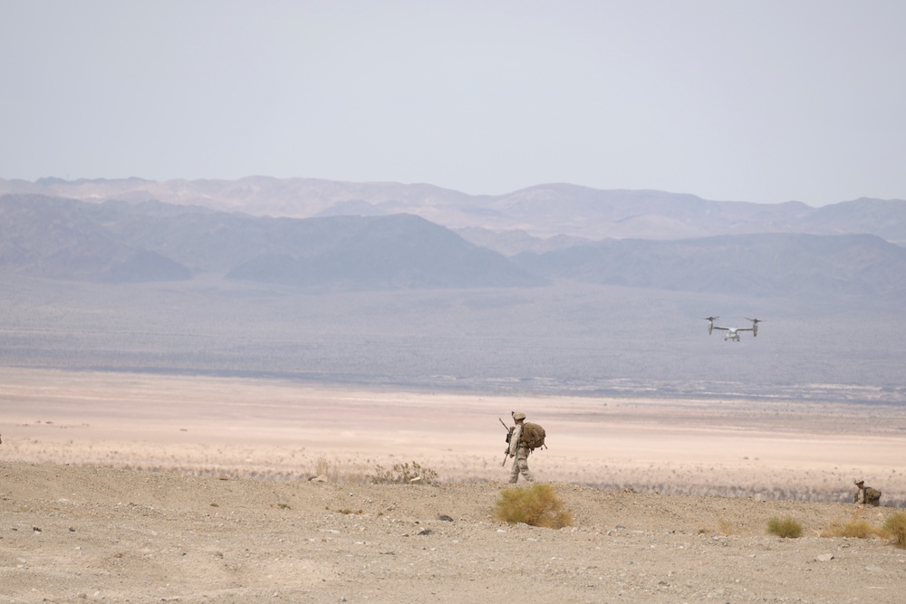 1st Bn., 7th Marines conducts battalion field exercise