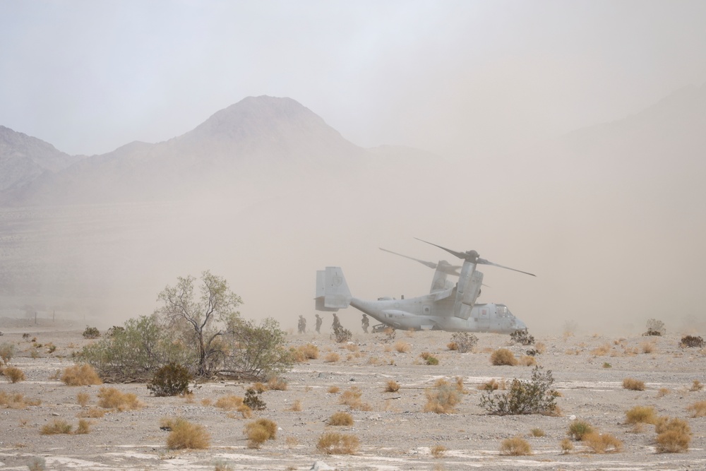 1st Bn., 7th Marines conducts battalion field exercise