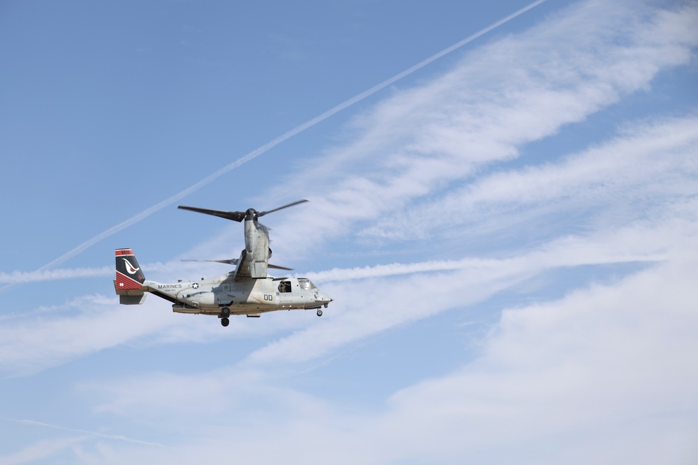 1st Bn., 7th Marines conducts battalion field exercise