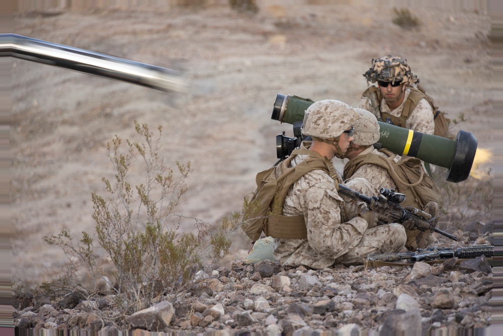 1st Bn., 7th Marines conducts battalion field exercise