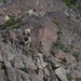 3rd ASOS TACPs conduct mountaineering training in Alaska