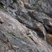 3rd ASOS TACPs conduct mountaineering training in Alaska