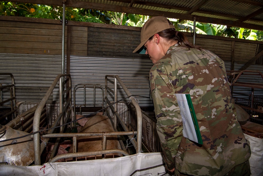 Pacific Partnership 2022 veterinary professionals visit local farms