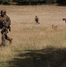 U.S., Swedish Raid Exercise