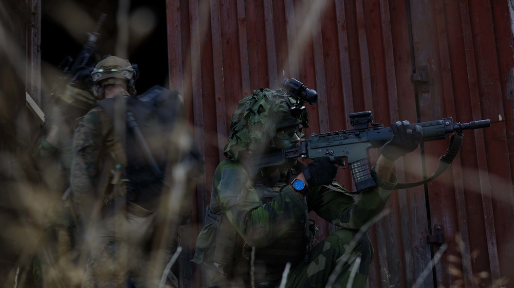 U.S., Swedish Raid Training