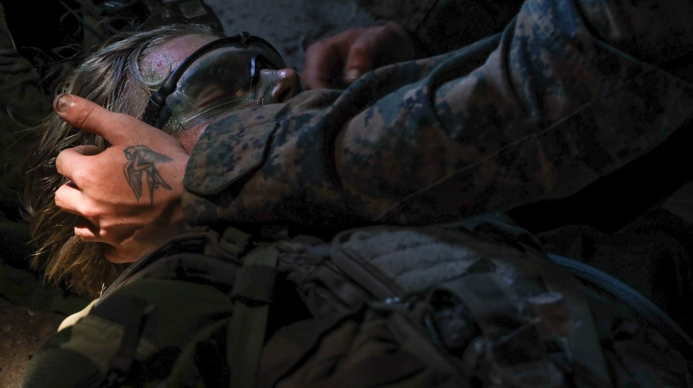 U.S., Swedish Bilateral Exercise